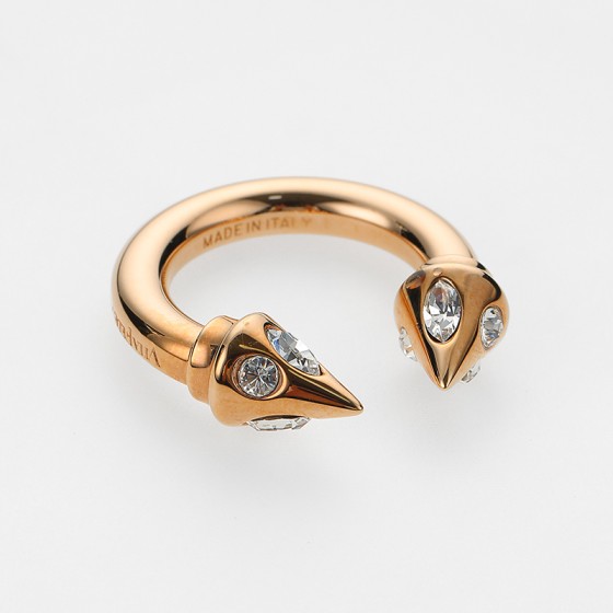 Titan Ring Galaxy